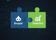 Drupal Matomo 