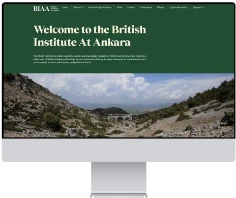 British Institute at Ankara